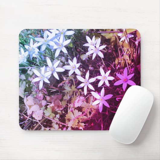 Blume mit weißem Stern Mousepad (Mit Mouse)
