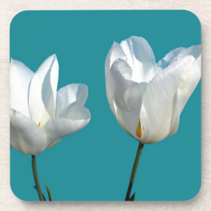 Blume mit weißem Tulpenhintergrund Getränkeuntersetzer