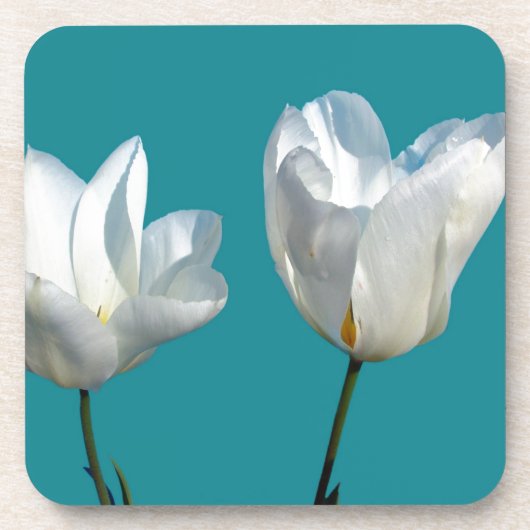 Blume mit weißem Tulpenhintergrund Getränkeuntersetzer (Vorderseite)