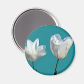 Blume mit weißem Tulpenhintergrund Magnet (Vorderseite/Rückseite)
