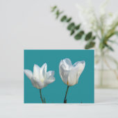Blume mit weißem Tulpenhintergrund Postkarte (Stehend Vorderseite)