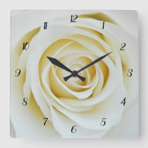 Blume mit weißer Rose Acrylwand Quadratische Wanduhr