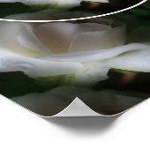 Blume mit weißer Rose, Rahmen für Ihr eigenes Foto Poster (Ecke)