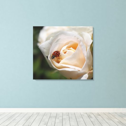 Blume mit weißer Rose und Damenbauch. Blütenwelt Leinwanddruck (Insitu (Holzboden))