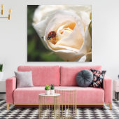 Blume mit weißer Rose und Damenbauch. Blütenwelt Leinwanddruck (Insitu (Wohnzimmer))