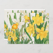 Blume mit weißer und gelber Nadel Postkarte (Vorne/Hinten)