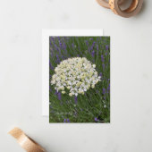 Blume Mitteilungskarte (Vorderseite/Rückseite Beispiel)