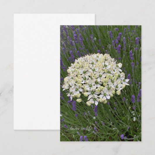 Blume Mitteilungskarte (Vorne/Hinten)