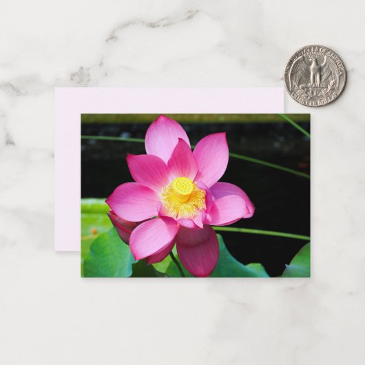 Blume Mitteilungskarte (Vorderseite/Rückseite Beispiel)