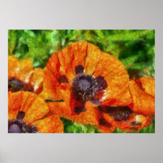 Blume - Mohn - Orangenpfeife Poster