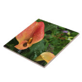 Blume morgens fliese (Seite)