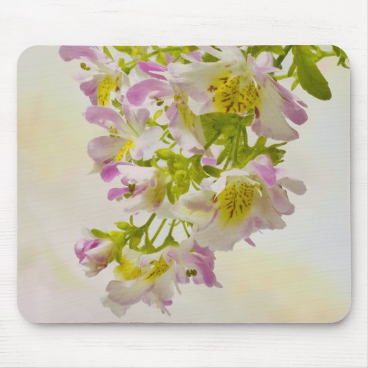 Blume Mousepad (Vorne)
