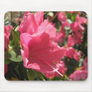 Blume Mousepad
