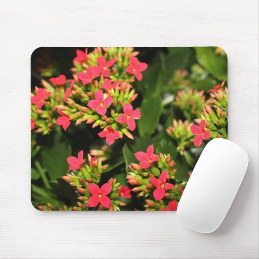 Blume Mousepad (Mit Mouse)