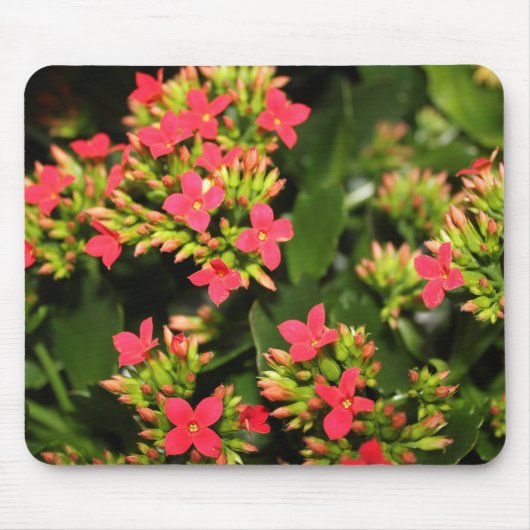 Blume Mousepad (Vorne)