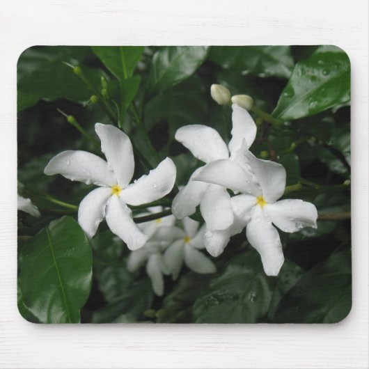 Blume Mousepad (Vorne)