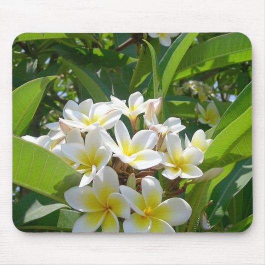 Blume Mousepad (Vorne)