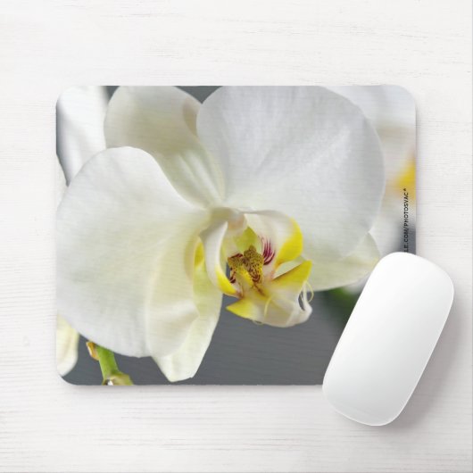 Blume Mousepad (Mit Mouse)
