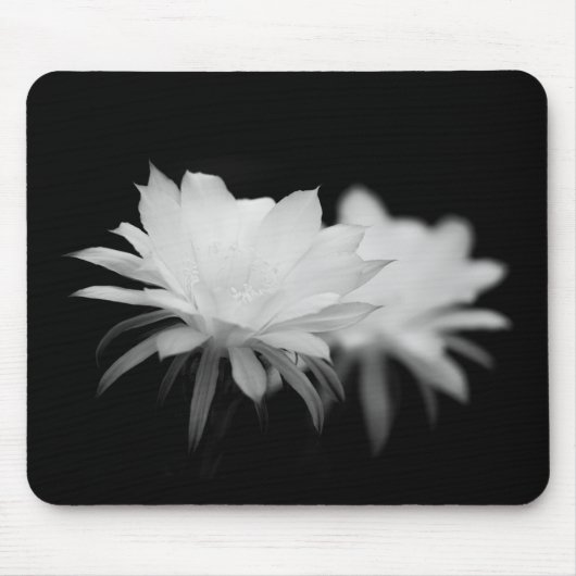 Blume Mousepad (Vorne)
