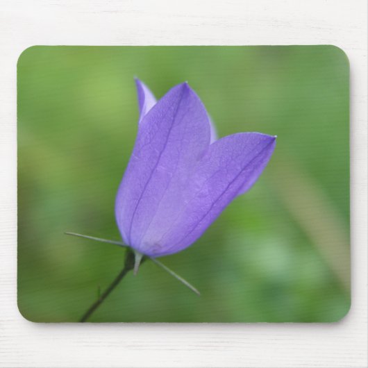 Blume Mousepad (Vorne)