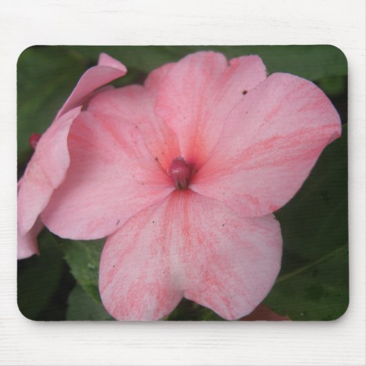 Blume Mousepad (Vorne)