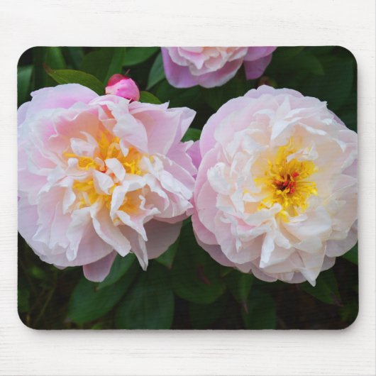 Blume Mousepad (Vorne)