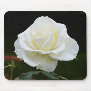 Blume Mousepad