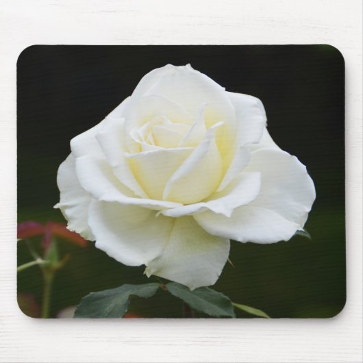 Blume Mousepad (Vorne)