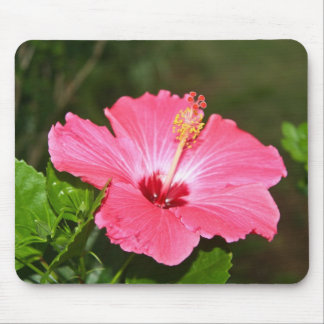 Blume Mousepad