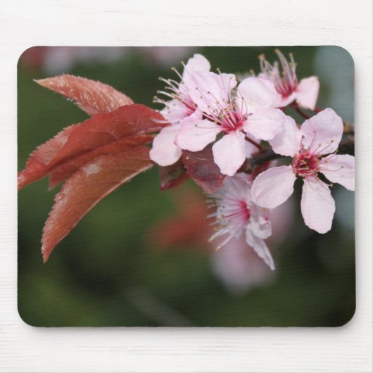 Blume Mousepad (Vorne)