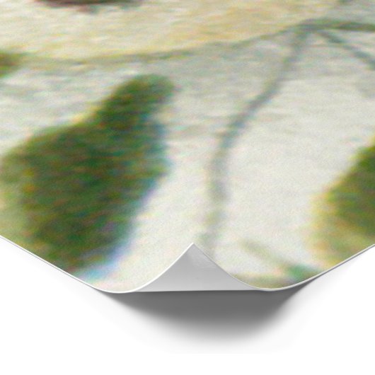 Blume Mum Floral Poster (Ecke)