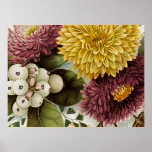 Blume Mum Floral Poster (Vorne)