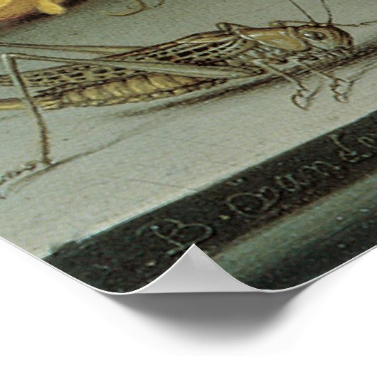 Blume, Muscheln und Insekten Balthasar van der Ast Poster (Ecke)