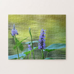 Blume nach Teich Puzzle