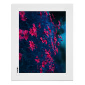 Blume nachts poster (Vorderseite)