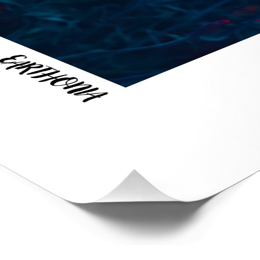 Blume nachts poster (Ecke)