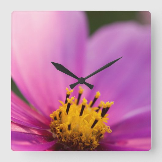 Blume Nah Quadratische Wanduhr (Vorderseite)