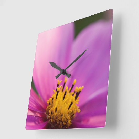 Blume Nah Quadratische Wanduhr (Winkel)