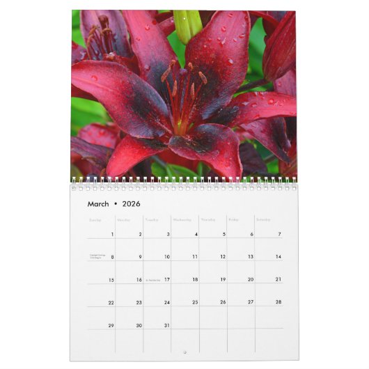 Blume naher Kalender (Mär 2026)