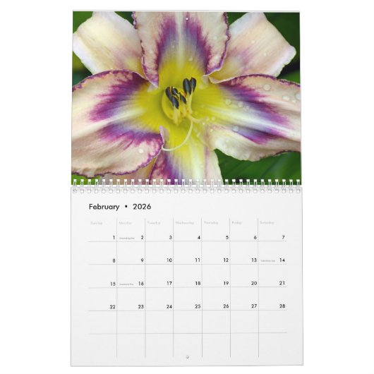 Blume naher Kalender (Feb 2026)