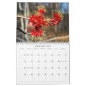 Blume Naher Kalender (Feb 2026)