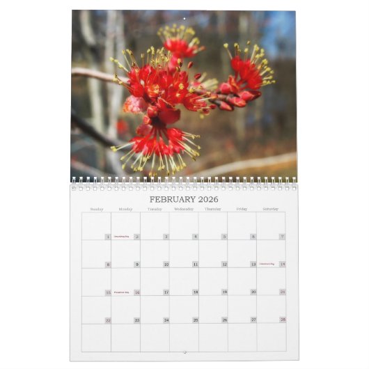 Blume Naher Kalender (Feb 2026)