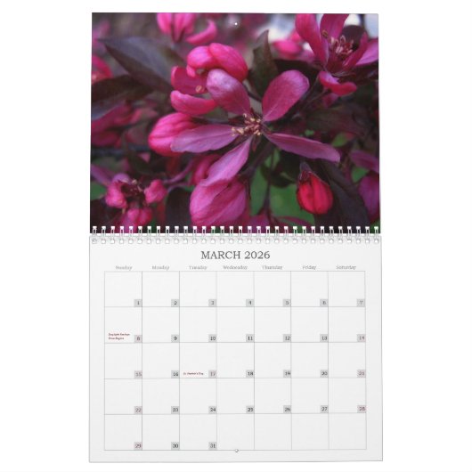 Blume Naher Kalender (Mär 2026)
