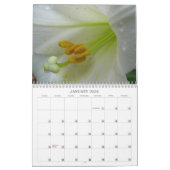 Blume Naher Kalender (Jan 2026)