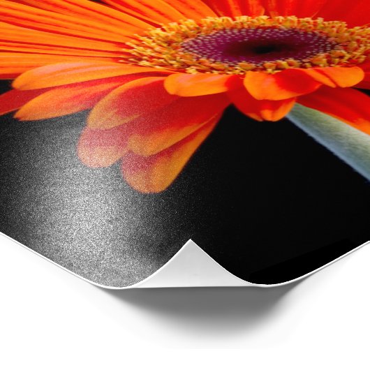 Blume Nahes Foto (Ecke)