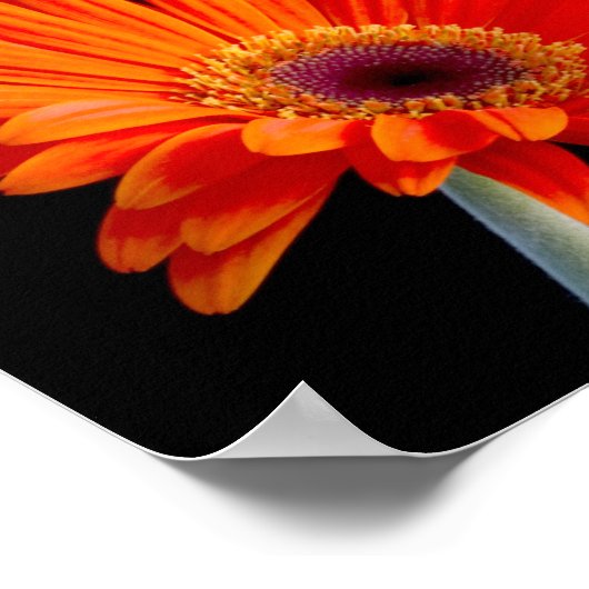 Blume Nahes Poster (Ecke)