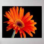 Blume Nahes Poster (Vorne)