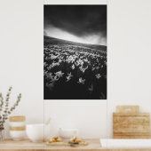 Blume Narcissus auf dem Berg Golica, Slowenien Poster (Küche)