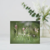 Blume Natur Foto Postkarte (Stehend Vorderseite)