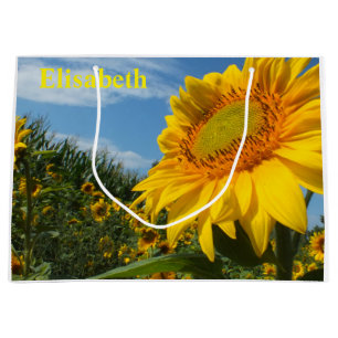 Blume, Natur, Sonne, Pflanze, Sommer, Sonnenblumen Große Geschenktüte